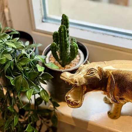 Gemuetliches Im Zentrum アパート アンダーナッハ